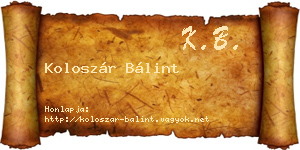 Koloszár Bálint névjegykártya